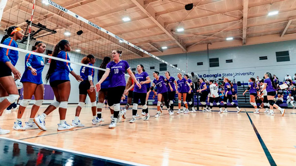 Volleyball team shaking hands